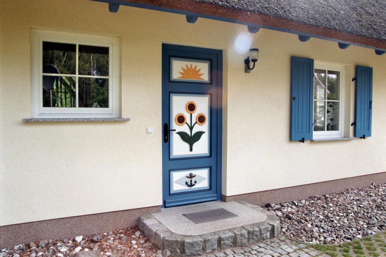 Ferienhaus Mine Sehnsucht Dierhagen Exterior photo